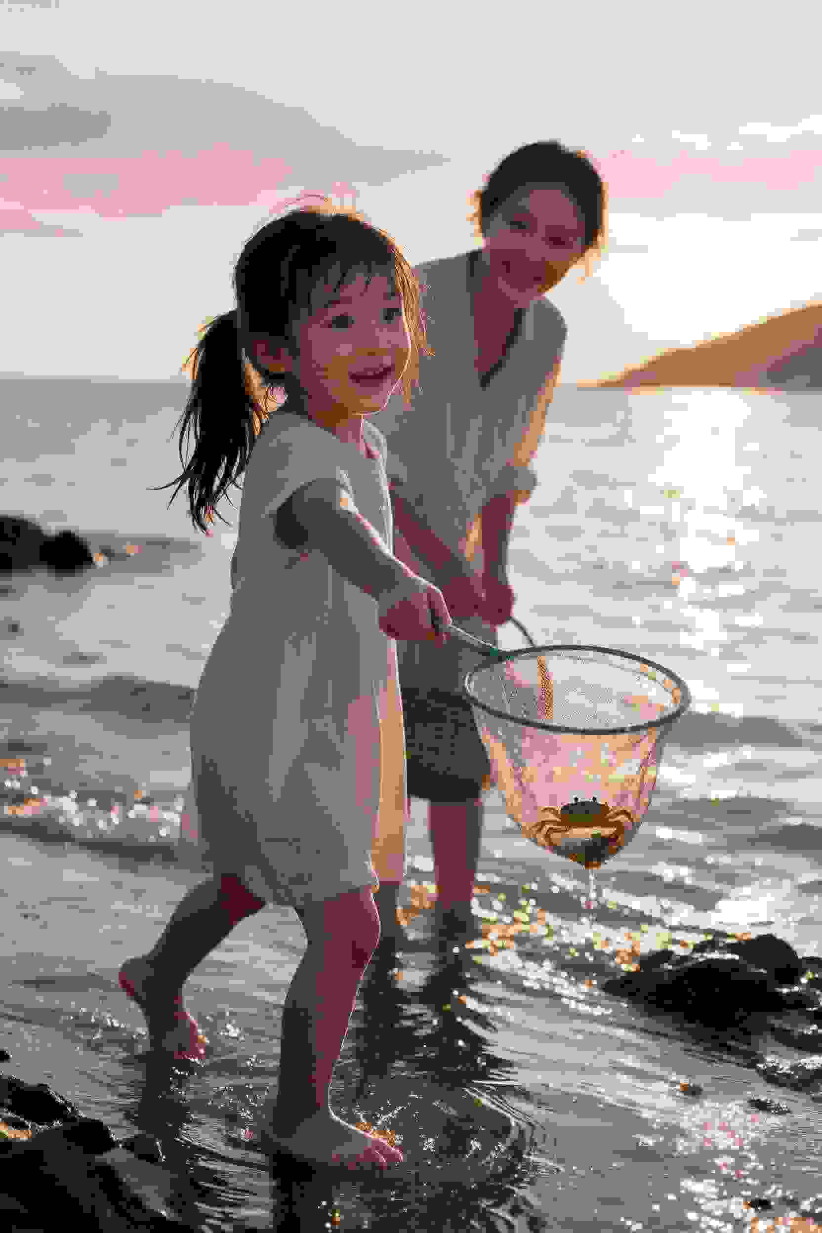 不起眼女主角培育法